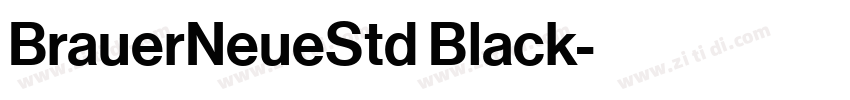 BrauerNeueStd Black字体转换